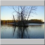 Kanclir  3.12.2008 15-32-44.JPG